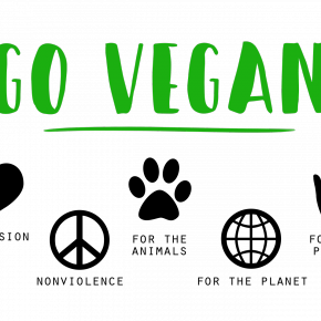 Alimentazione Vegetariana, Vegana e Cruelty free